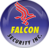 Falcon Security Inc